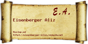 Eisenberger Aliz névjegykártya