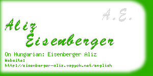 aliz eisenberger business card